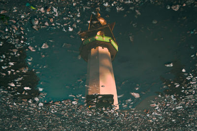 High angle view of illuminated autumn leaves on field