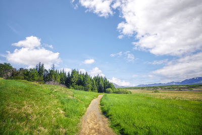 Scenic view of agricultural field against sky