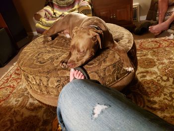 Woman with dog relaxing at home