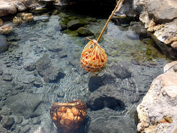 High angle view of crab on rock in lake