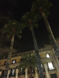 Low angle view of palm trees at night