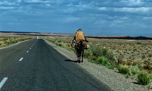 Rear view of person riding horse on road