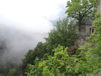 View of trees against cloudy sky