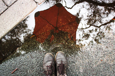 Low section of person standing by puddle on street during monsoon