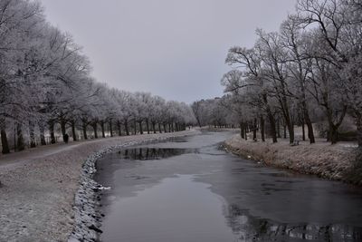 Scenic view of bare trees against sky during winter