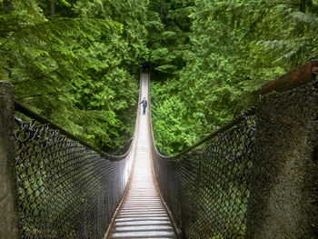 Mid distance of man walking on footbridge against trees