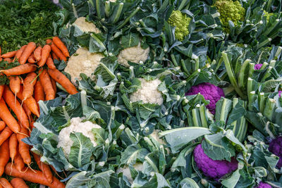 High angle view of vegetables in market