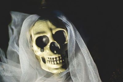Close-up of human skull and veil on field at night
