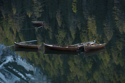 Boats moored on lake by trees