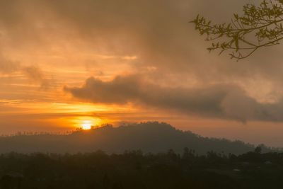 Silhouette trees against dramatic sky during sunset