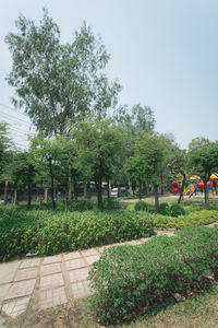 Trees in park against sky