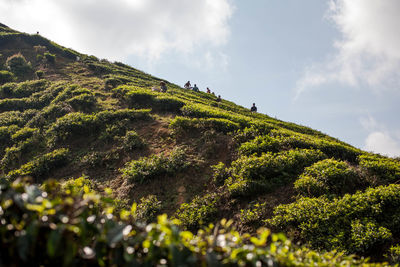 Low angle view of mountain against sky