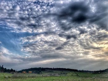 Scenic view of field against sky