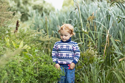 A little girl is a toddler among the tall grass in the park. spring