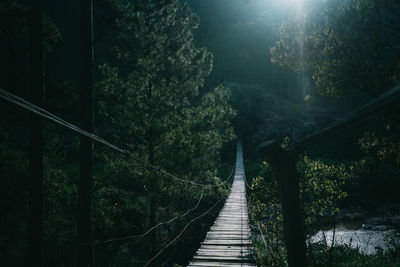 Rope bridge under sunlight in the middle of the forest