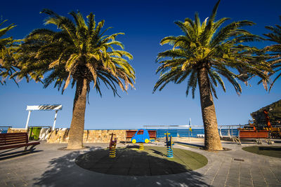 Palm trees at beach against blue sky