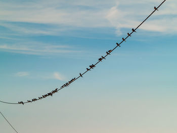 Low angle view of barbed wire against sky