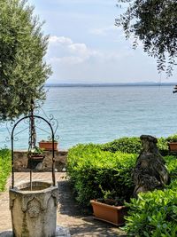 Plants and trees by sea against sky