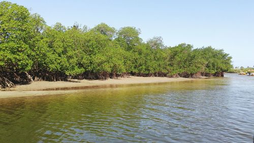 Scenic view of calm sea against sky