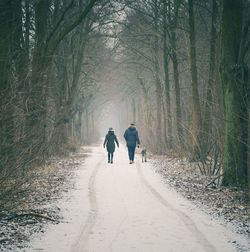 Rear view of friends walking on snow covered footpath amidst trees during winter