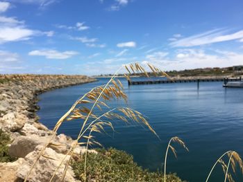 Scenic view of river against sky