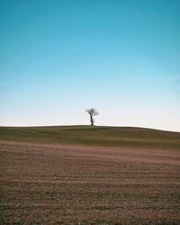 Scenic view of field against clear sky