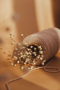 Delicate white flowers of gypsophila with spool of white cotton rope on neutral beige background