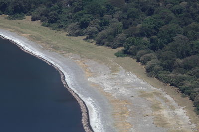 Aerial view of flamingos by sea