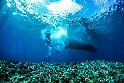 Scuba diver underwater