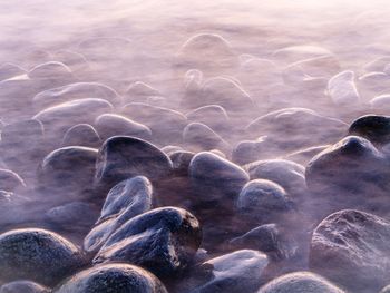 High angle view of rocks in sea