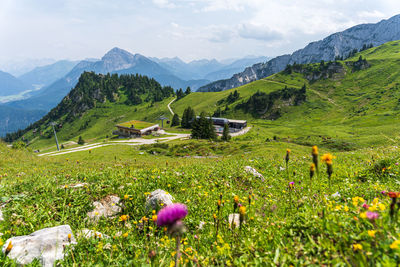 Scenic view of grassy field and mountains against sky