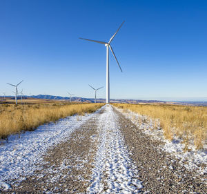 Wind turbines in a field with blue sky
