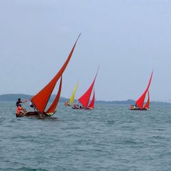 Boats sailing in sea