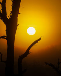 African sun