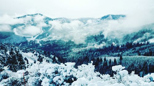 Snow covered field