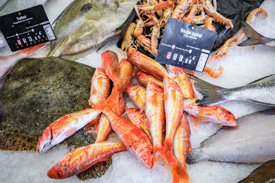 Close-up of seafood for sale at market stall