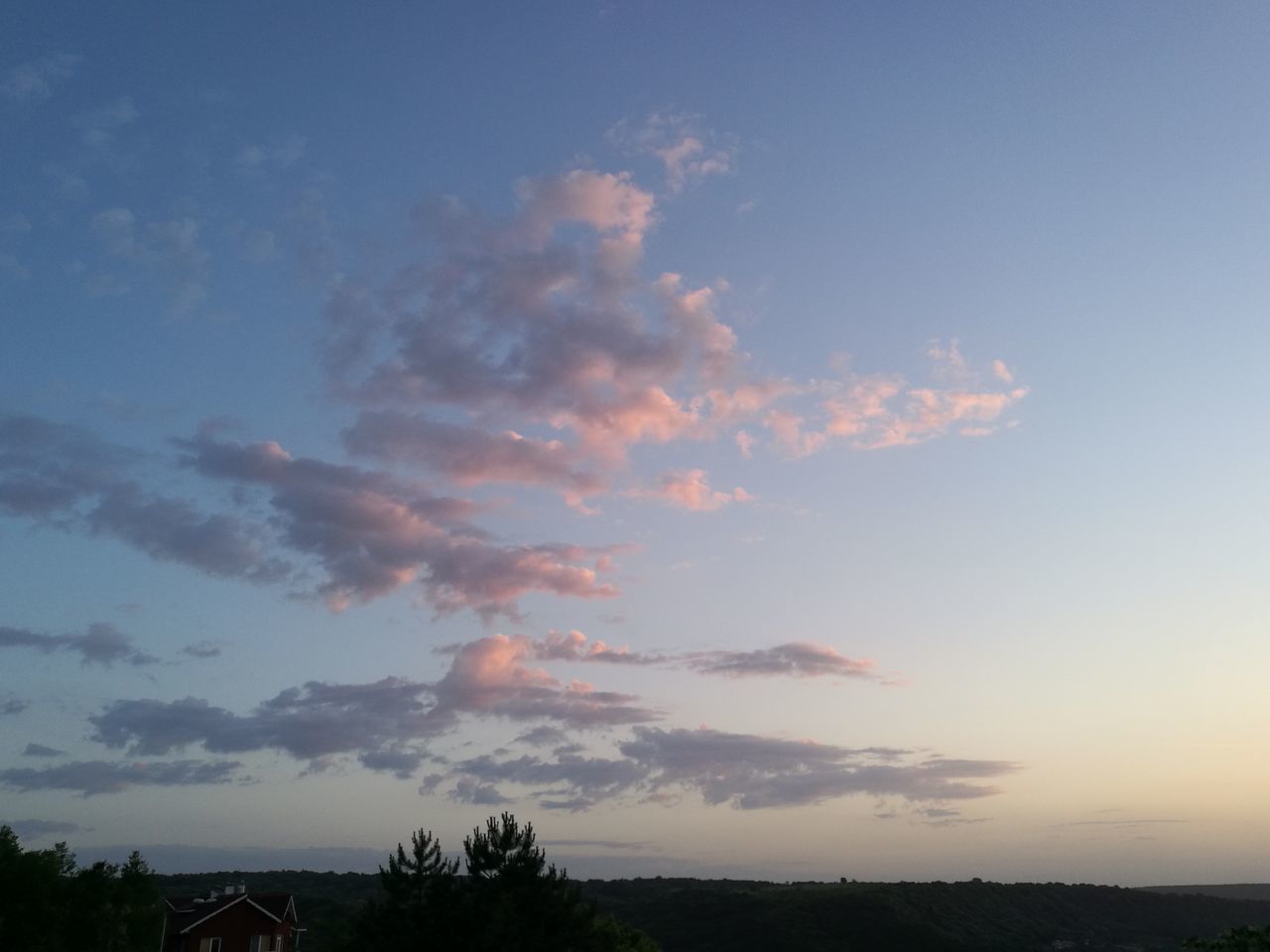 sky, cloud - sky, beauty in nature, scenics - nature, tree, sunset, nature, tranquility, tranquil scene, no people, plant, silhouette, outdoors, low angle view, environment, non-urban scene, landscape, idyllic, field, land