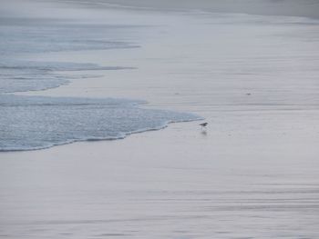 Scenic view of beach