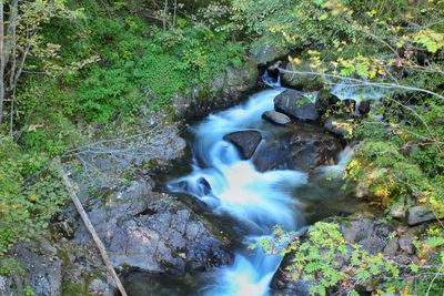 High angle view of waterfall amidst trees