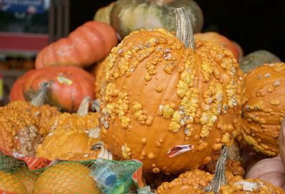 Close-up of pumpkins and gourds for sale in market