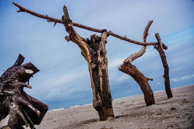 Low angle view of sculpture against sky