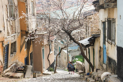 People on bare tree in city