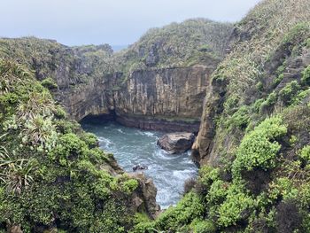 Scenic view of waterfall in forest