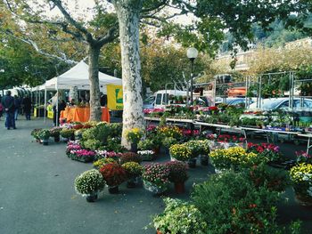 Market stall for sale