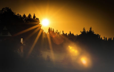 Sun shining through trees