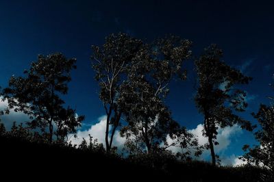 Low angle view of silhouette trees against sky at night