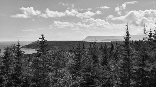 Trees on mountains against cloudy sky