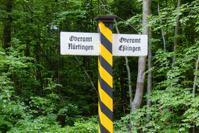 Information sign in forest