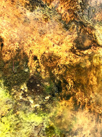 Full frame shot of water