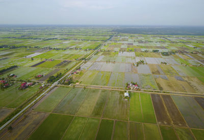 High angle view of tire tracks on agricultural field